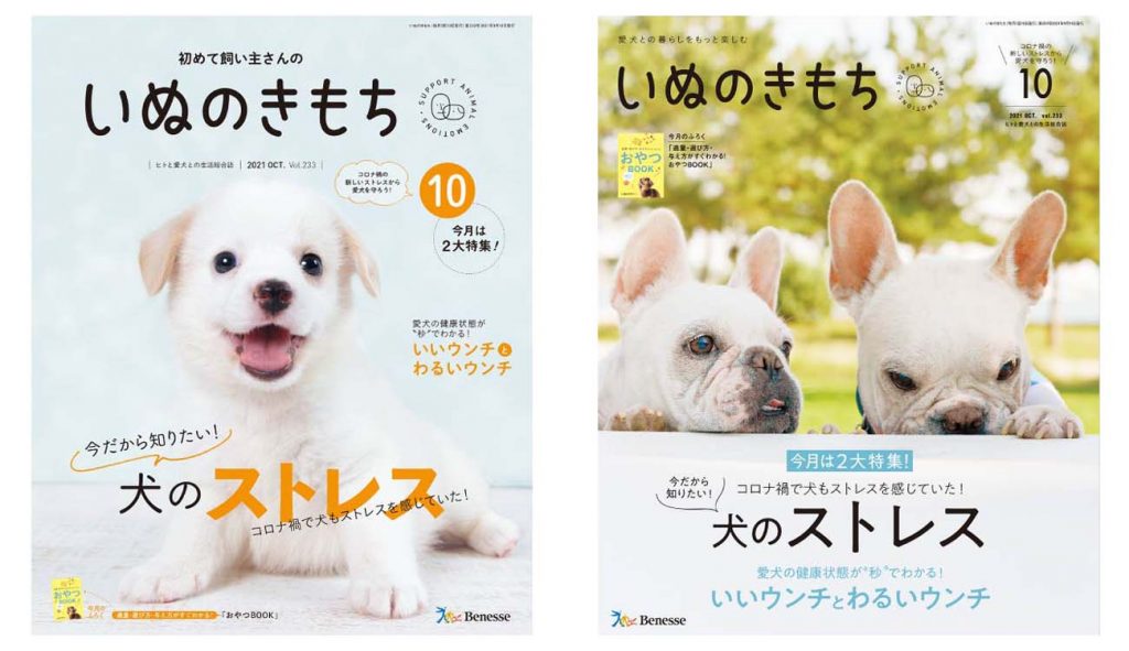 雑誌『いぬのきもち』でTanoMakeの商品が紹介されました。 – TanoMake 